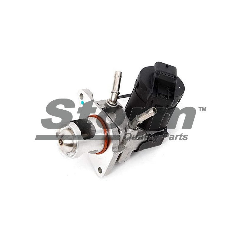 Vanne EGR / AGR STORM