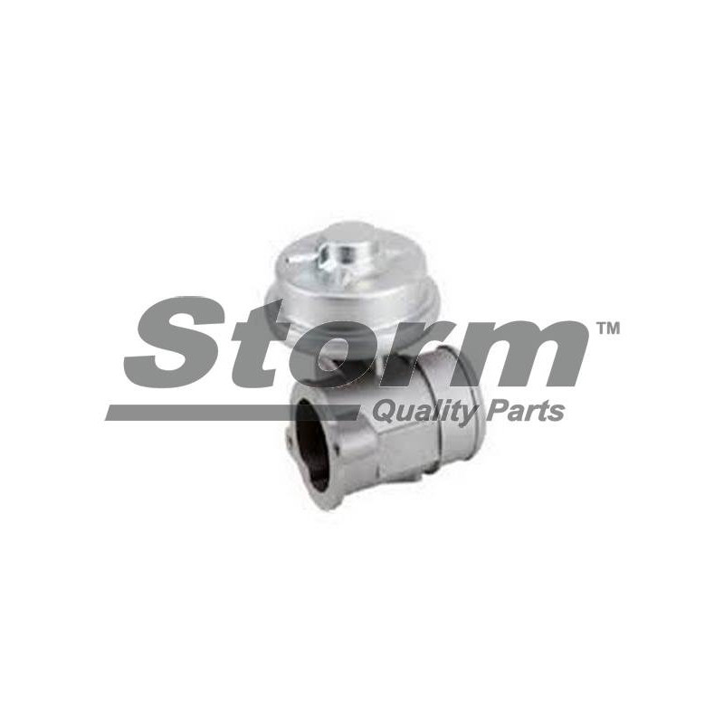 Vanne EGR / AGR STORM