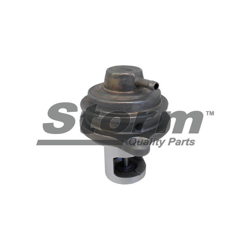 Vanne EGR / AGR STORM