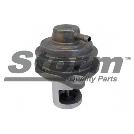 Vanne EGR / AGR STORM