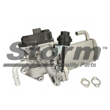Vanne EGR / AGR STORM