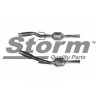 Catalyseur STORM