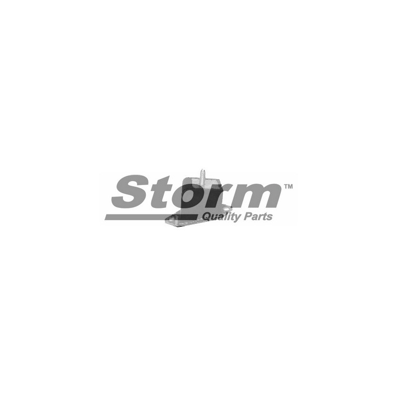 Support moteur STORM