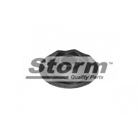 Silent bloc de triangle de suspension STORM