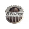 Roue dentée (vilebrequin) STORM