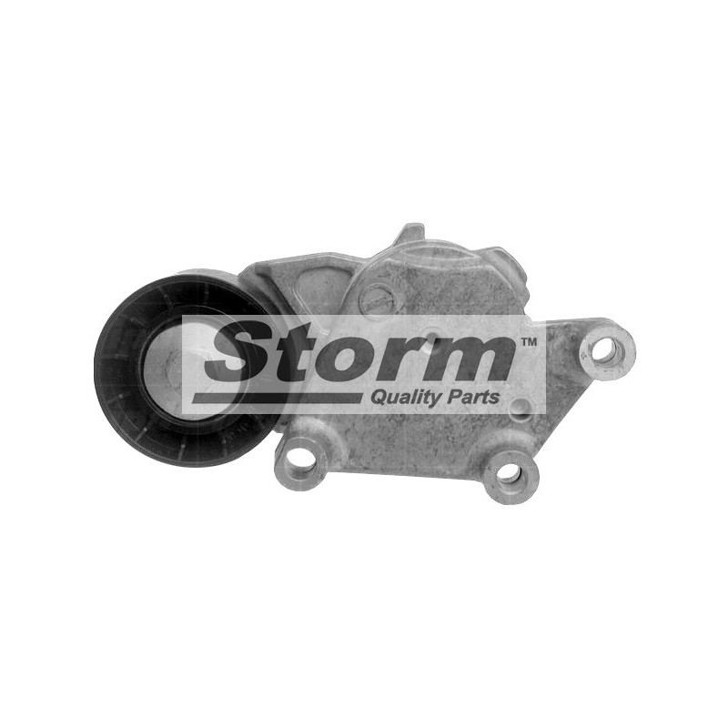 Tendeur de courroie (courroie d'accessoire) STORM