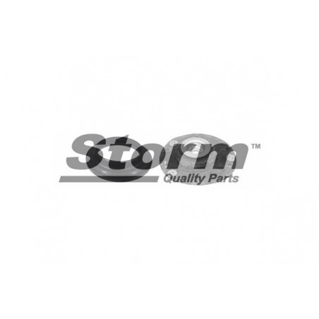 Kit de réparation (palier de la jambe de suspension) STORM