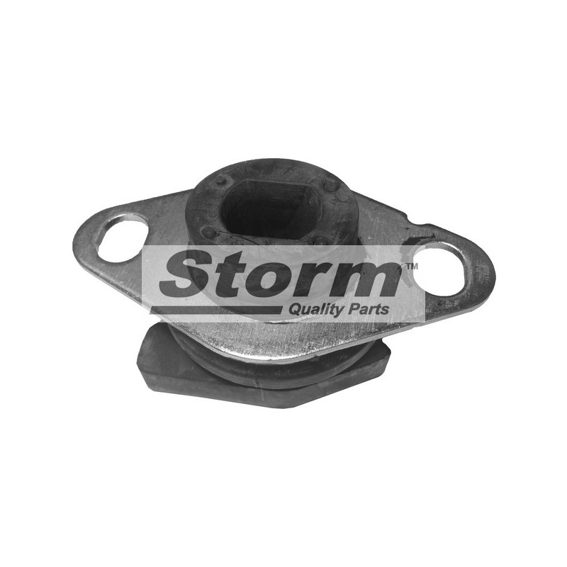 Suspension (boîte de vitesse) STORM