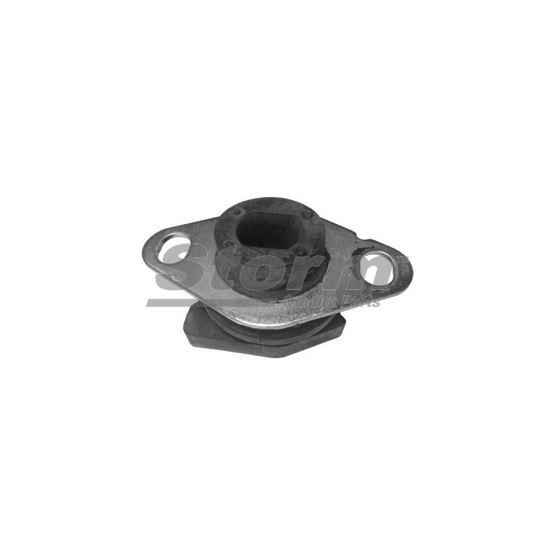 Suspension (boîte de vitesse) STORM