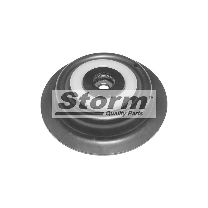 Kit de réparation (palier de la jambe de suspension) STORM