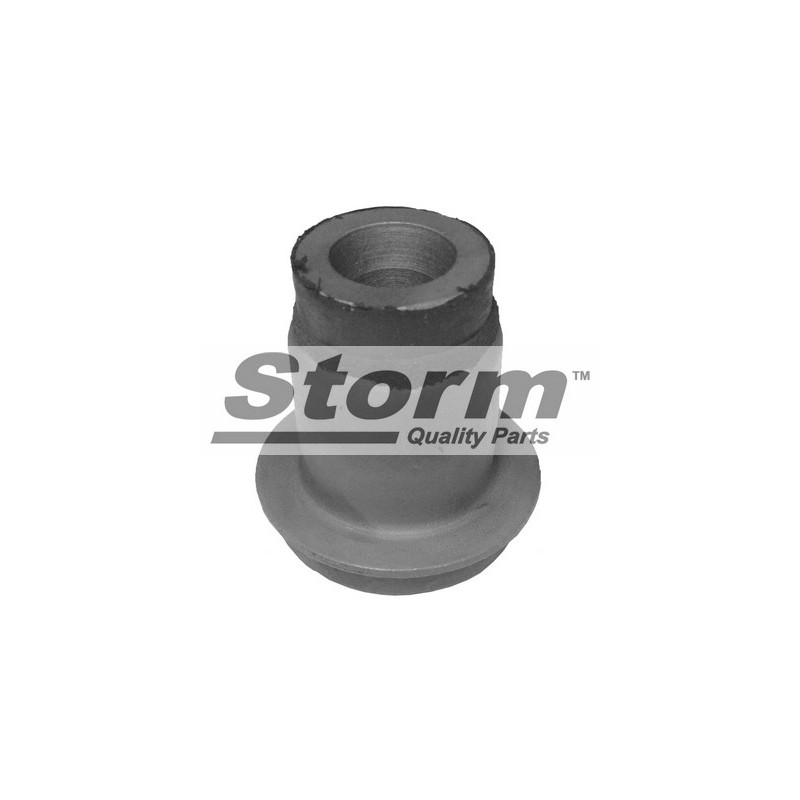 Silent bloc de triangle de suspension STORM