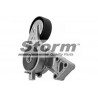 Tendeur de courroie (courroie d'accessoire) STORM