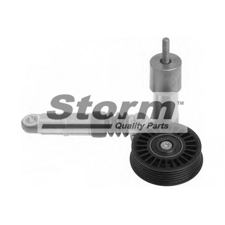 Tendeur de courroie (courroie d'accessoire) STORM