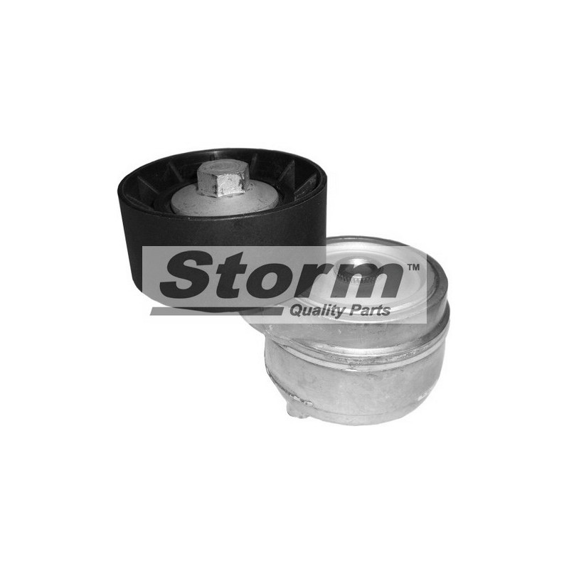Tendeur de courroie (courroie d'accessoire) STORM