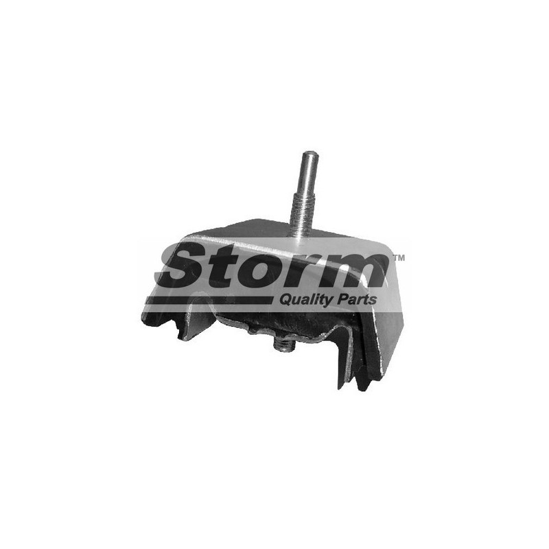 Support de palier (corps de l'essieu) STORM