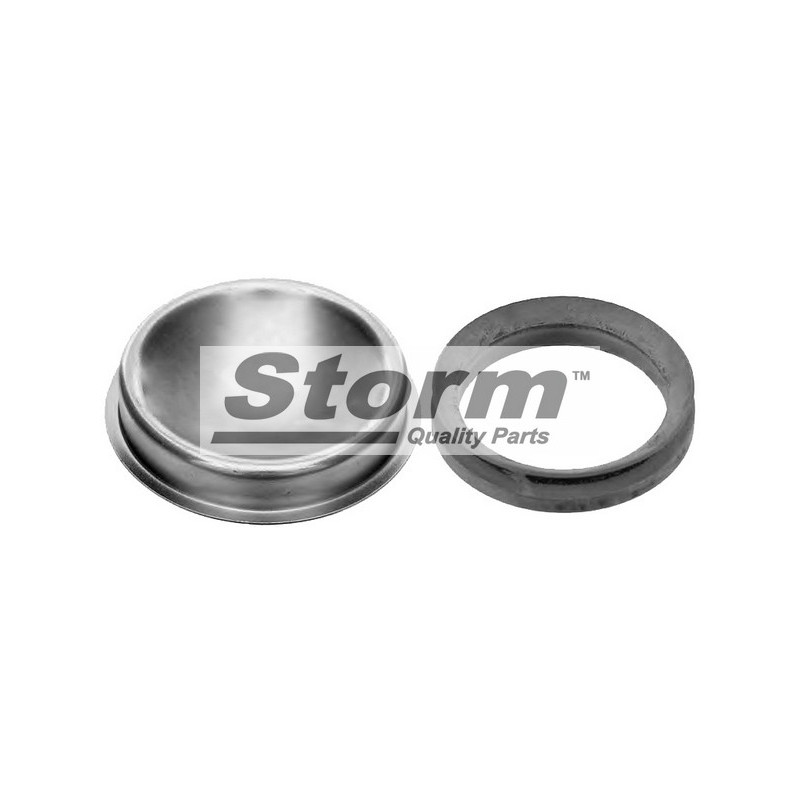 Bague d'étanchéité (moyeu de roue) STORM