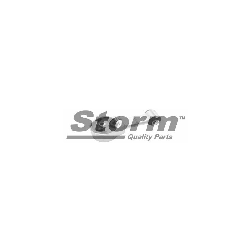 Support moteur STORM
