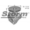 Pompe à eau STORM