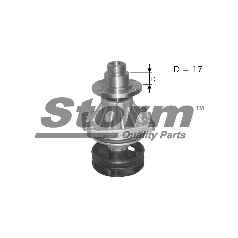 Pompe à eau STORM