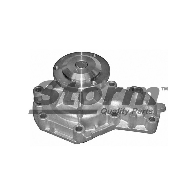 Pompe à eau STORM