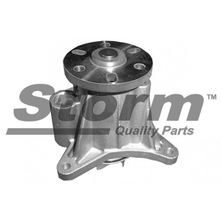 Pompe à eau STORM