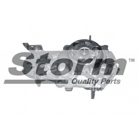 Pompe à eau STORM
