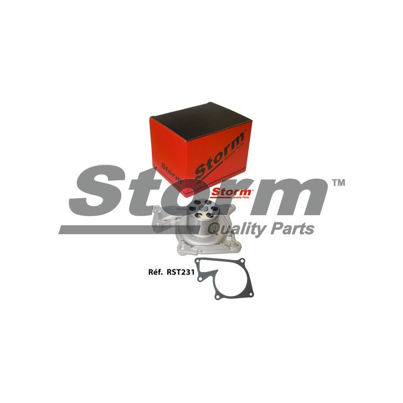 Pompe à eau STORM