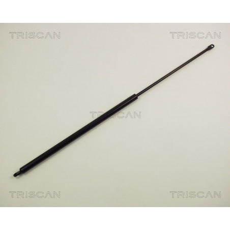 Vérin de capot TRISCAN