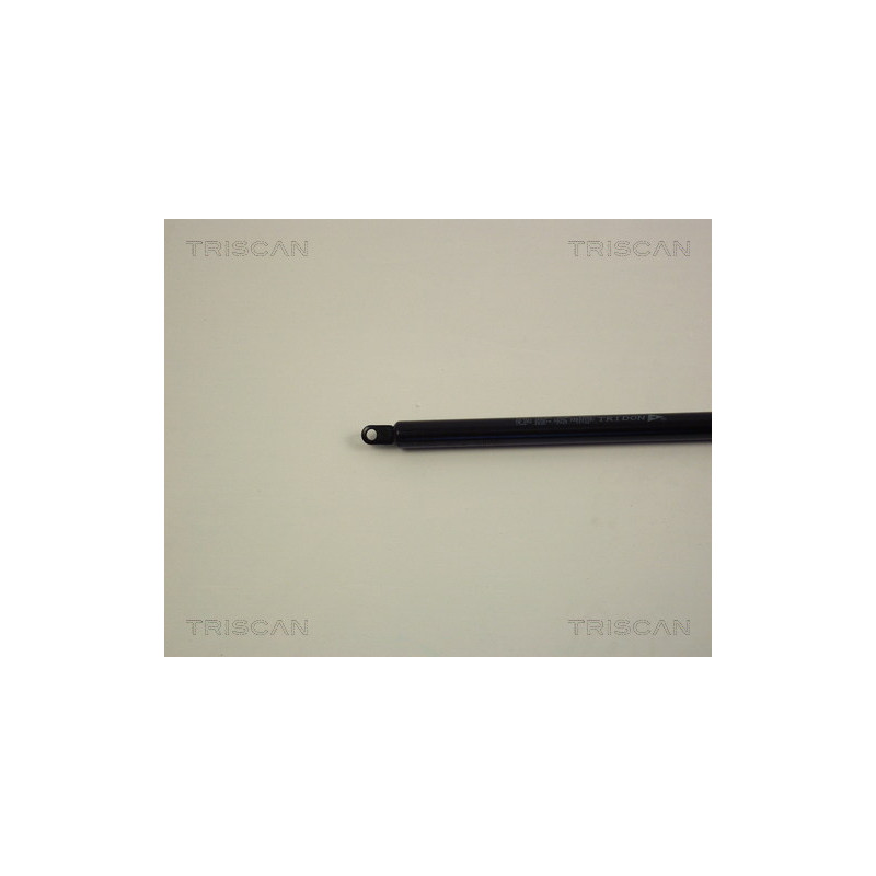 Vérin de capot TRISCAN