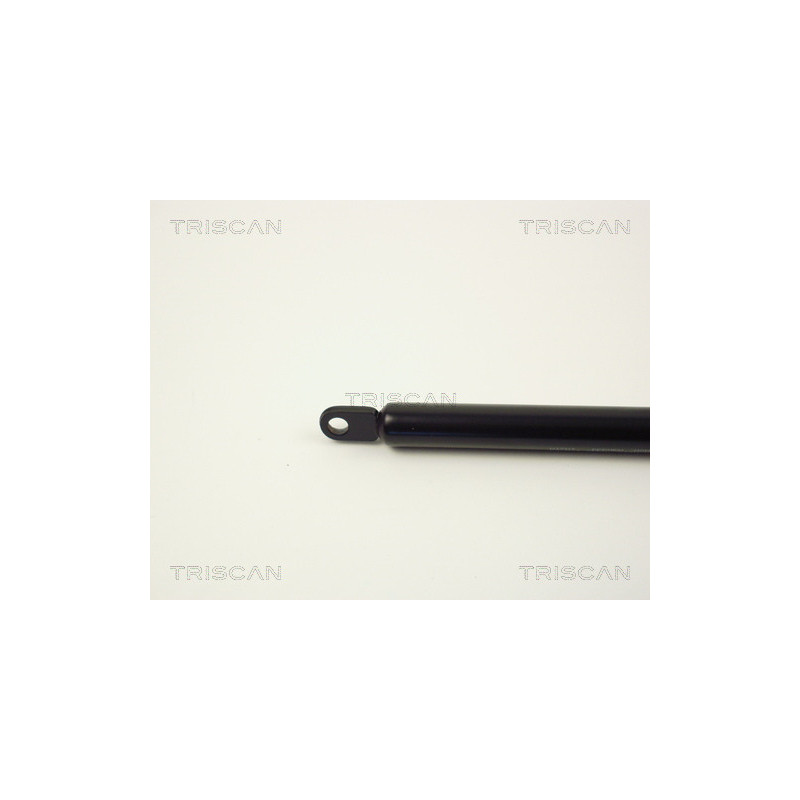 Vérin de capot TRISCAN