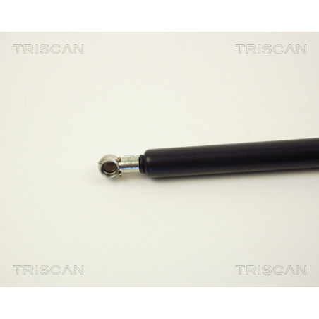 Vérin de coffre / hayon TRISCAN