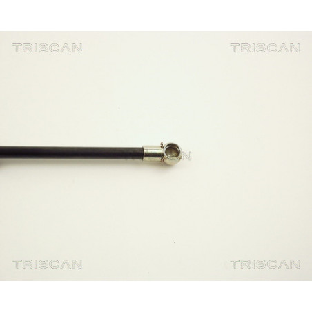 Vérin de coffre / hayon TRISCAN