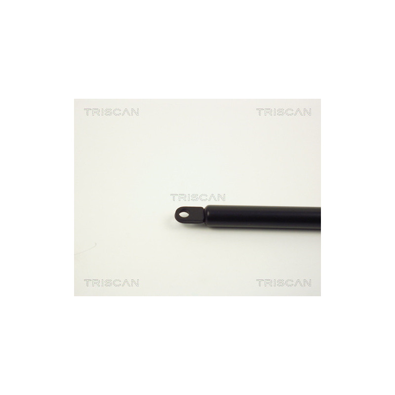 Vérin de capot TRISCAN