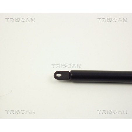 Vérin de capot TRISCAN