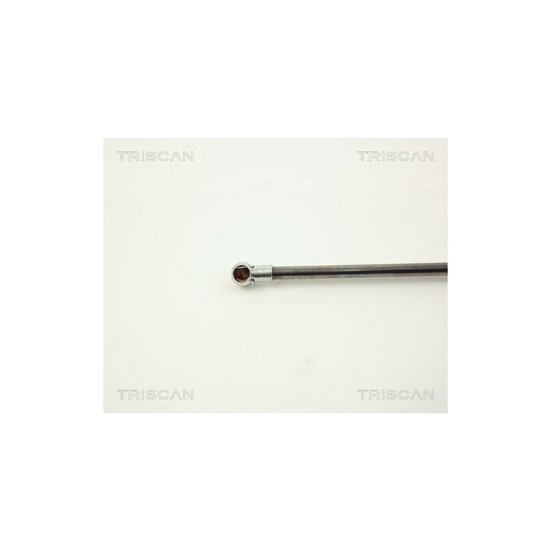 Vérin de coffre / hayon TRISCAN