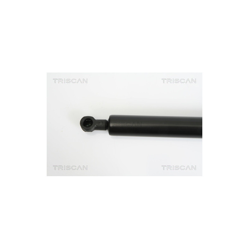 Vérin de coffre / hayon TRISCAN