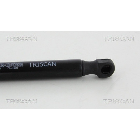 Vérin de coffre / hayon TRISCAN