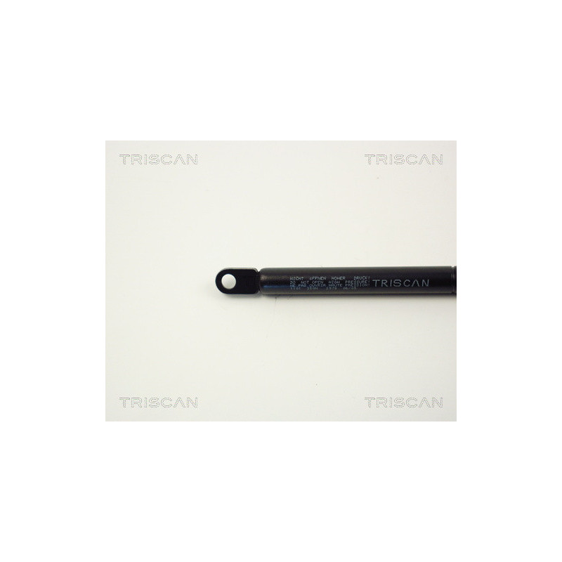 Vérin de capot TRISCAN