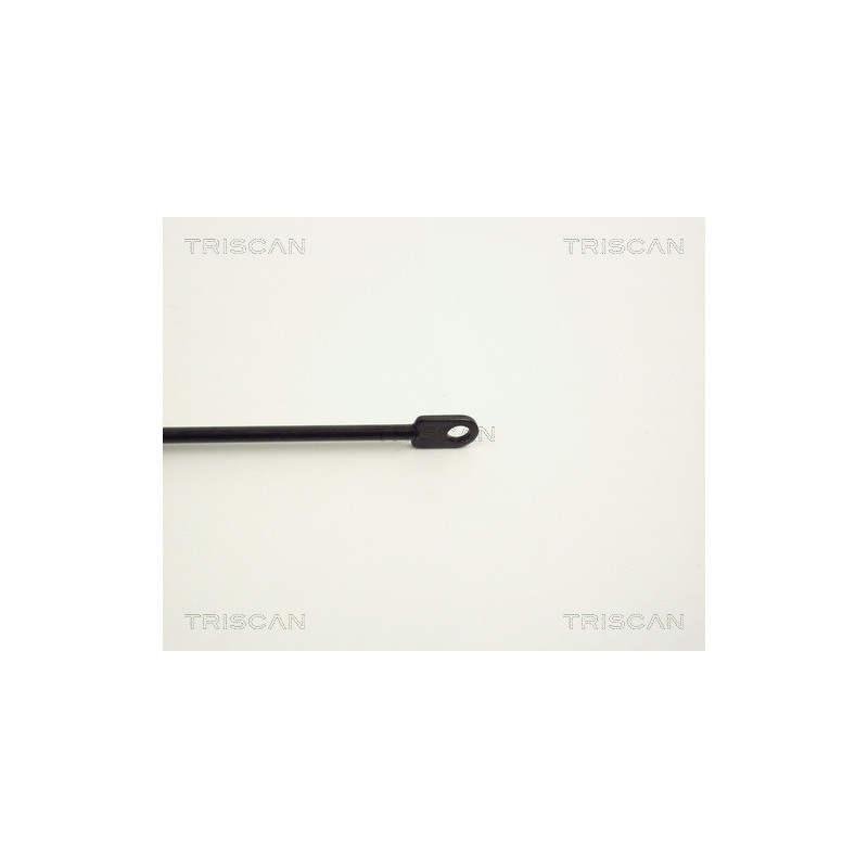 Vérin de capot TRISCAN