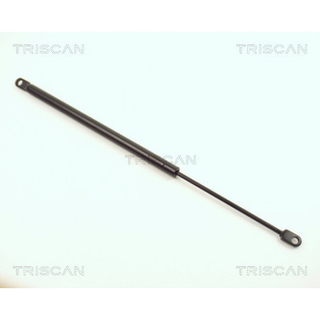 Vérin de capot TRISCAN