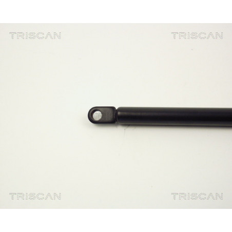 Vérin de capot TRISCAN
