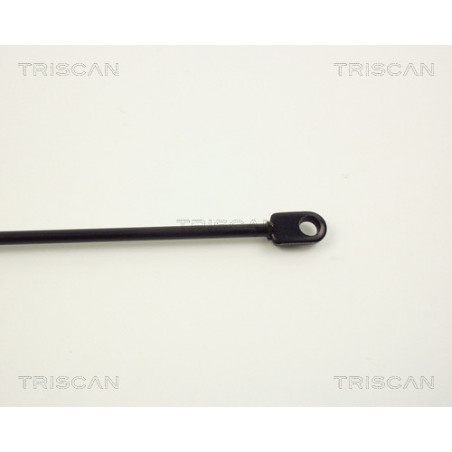 Vérin de capot TRISCAN