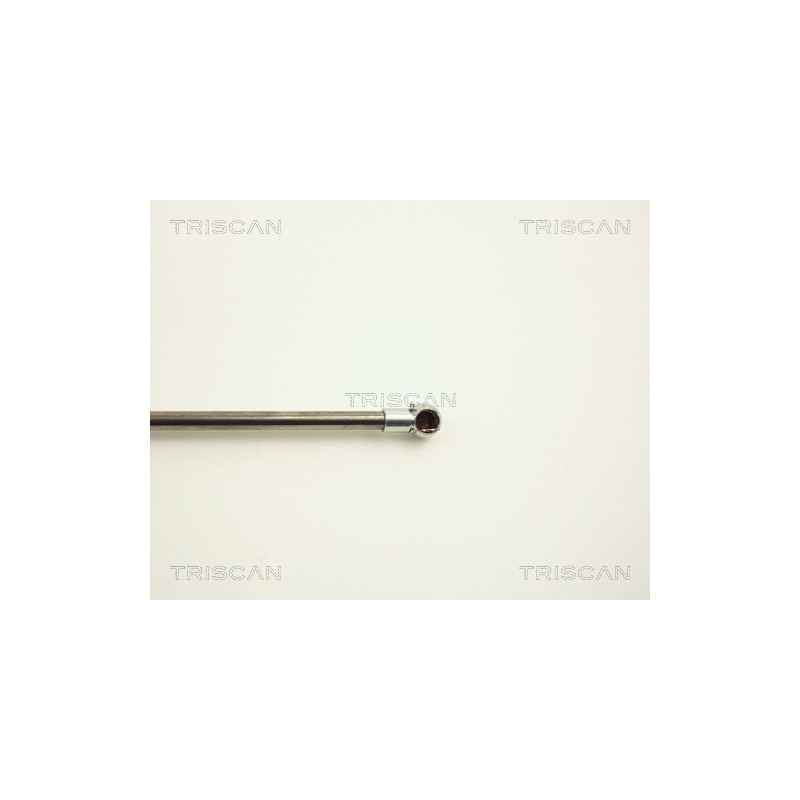 Vérin de capot TRISCAN