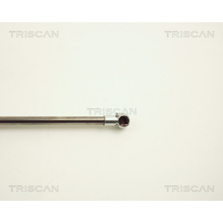 Vérin de capot TRISCAN