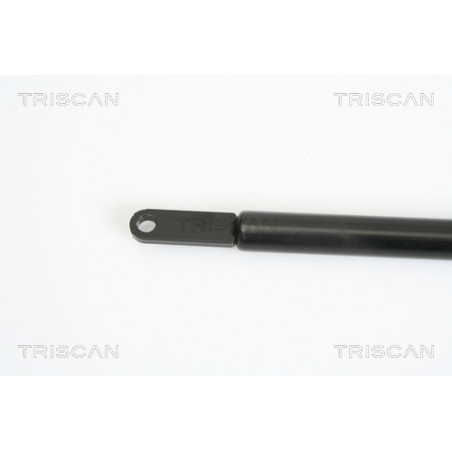 Vérin de capot TRISCAN