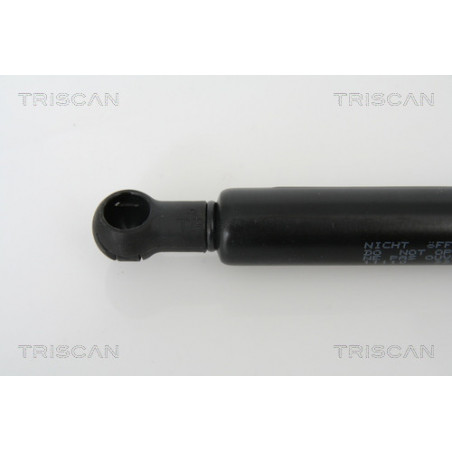 Vérin de capot TRISCAN