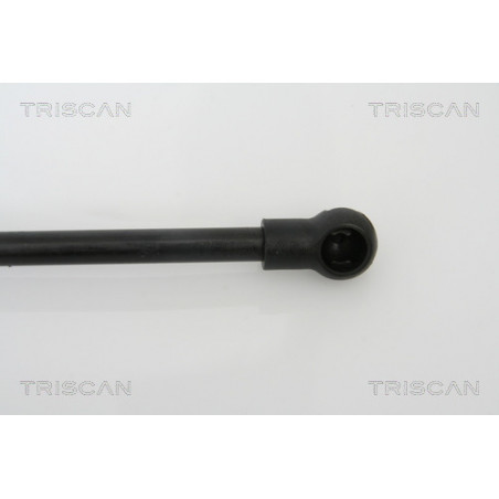 Vérin de capot TRISCAN