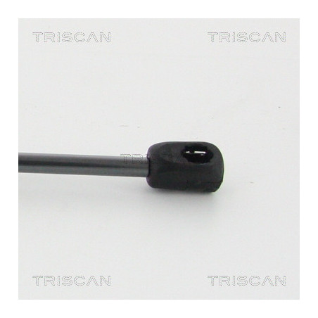 Vérin de capot TRISCAN