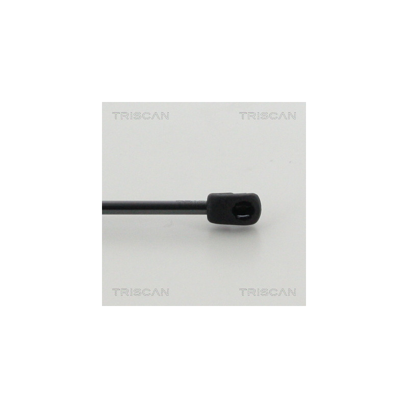 Vérin de capot TRISCAN