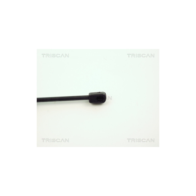 Vérin de coffre / hayon TRISCAN